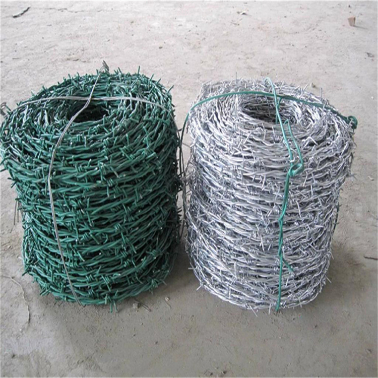 海南刺鐵絲防護(hù)網(wǎng)